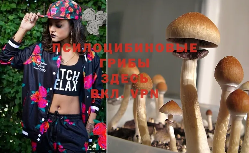 Галлюциногенные грибы Magic Shrooms  hydra как войти  Губкинский  где найти  